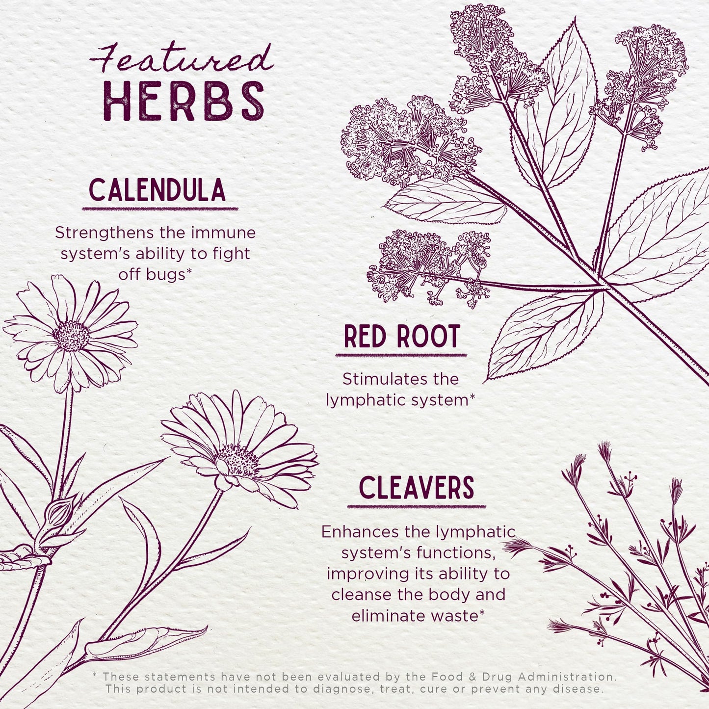 WishGarden Herbs Lymph Mover - Organic Lymphatic Drainage Drops with Echinacea, Cleavers & Red Root - Immune Support Supplement, Lymph System Support - Liquid Herbal Tincture, Gluten-Free, Vegan, 2oz - dailyvitalstore