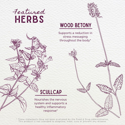 WishGarden Herbs Serious Relaxer, Liquid Herbal Muscle Relaxant with Wild Lettuce & Valerian Root, Eases Neck & Shoulder Tension, Tense Muscles, Muscle Spasms & Restless Legs, Non-GMO, Vegan, 4oz - dailyvitalstore