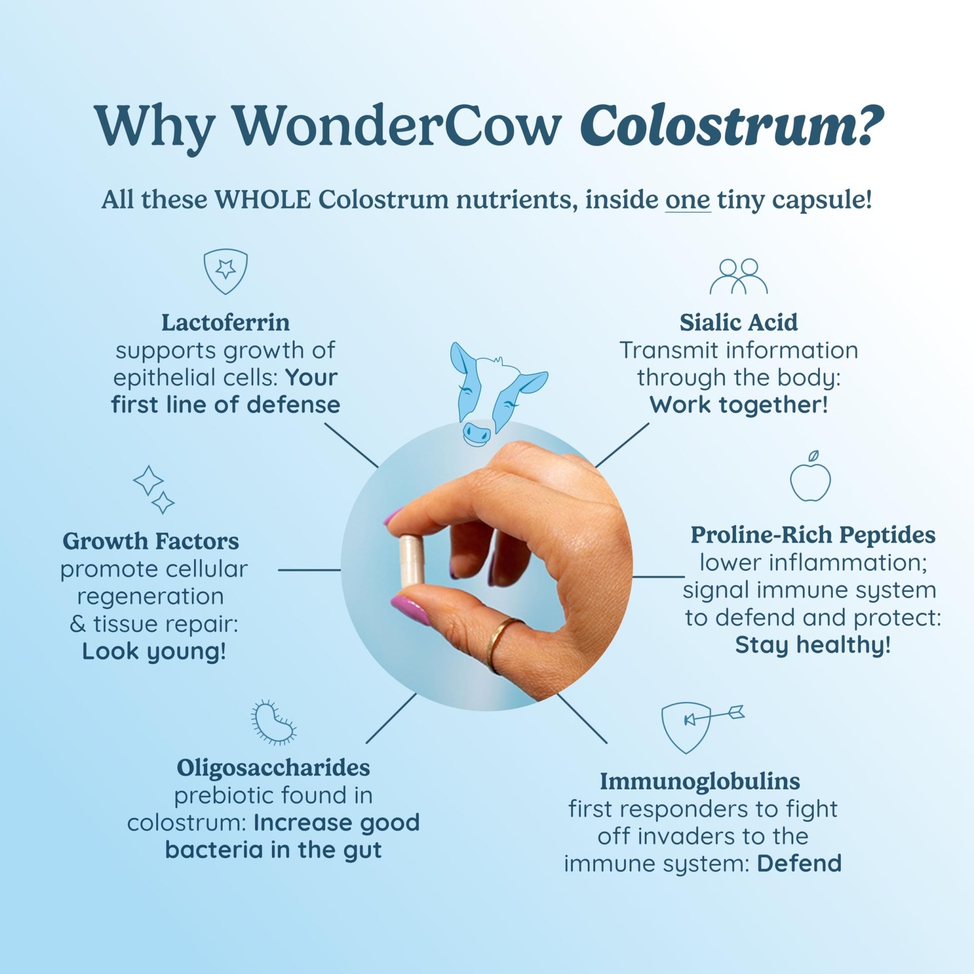 WONDERCOW Colostrum Capsules Supplement for Gut Health, Immune Support & Wellness | Natural IgG Pure Whole Bovine - dailyvitalstore