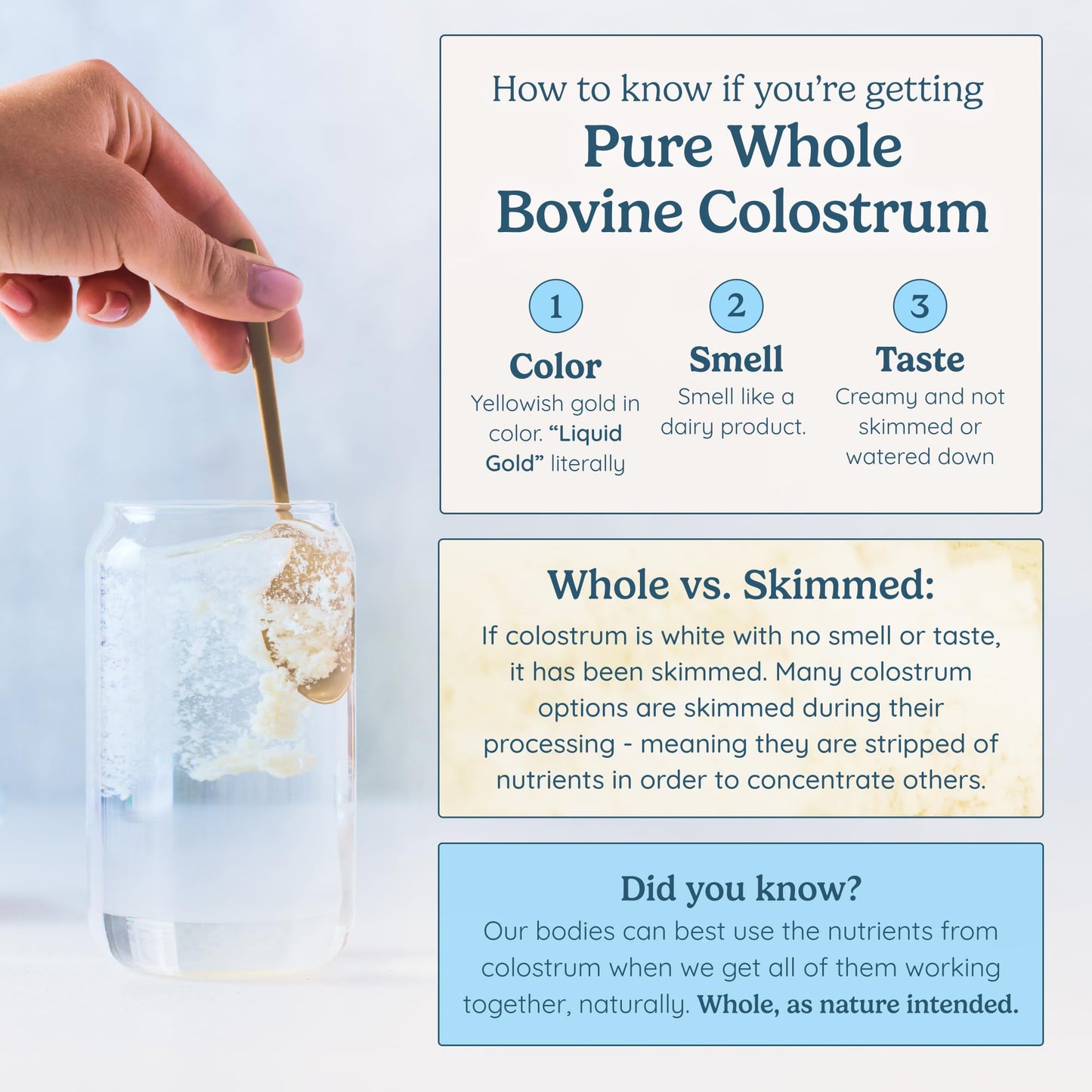 WONDERCOW Colostrum Supplement Powder for Gut Health, Immune Support & Wellness | Natural IgG Pure Whole Bovine Colostrum Superfood - dailyvitalstore