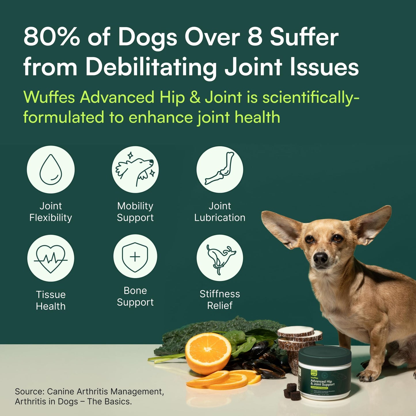 Wuffes Advanced Dog Hip and Joint Supplement with Glucosamine, Chondroitin, Omega 3, MSM, and Green Lipped Mussel, 60 Pork Flavored Chews for Small and Medium Dog Breeds - dailyvitalstore