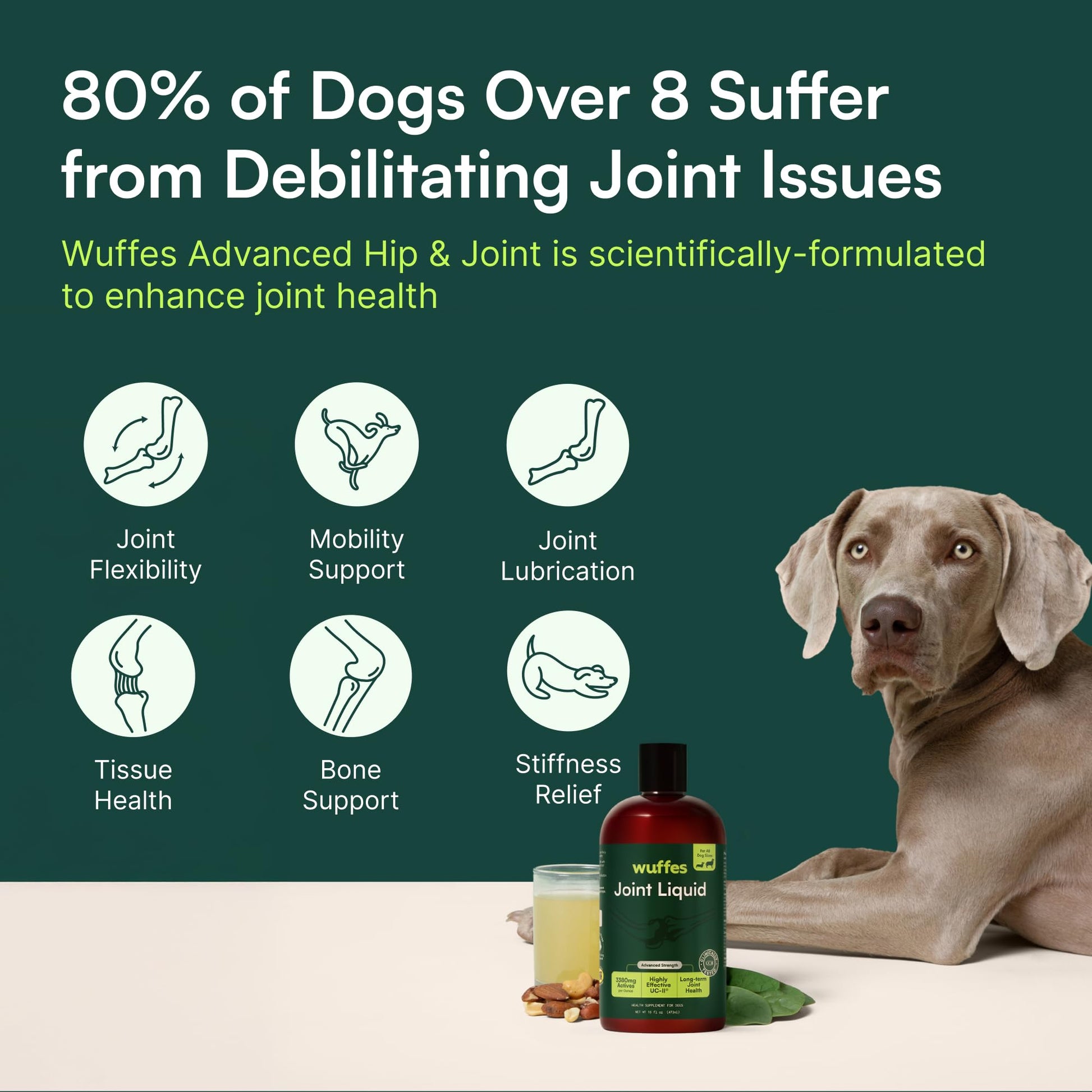 Wuffes Advanced Joint Liquid for Dogs, Hip & Joint Support Supplement with Glucosamine, Chondroitin, UC-II® Collagen, and MSM, for Small & Large Breeds, 16 Oz - dailyvitalstore