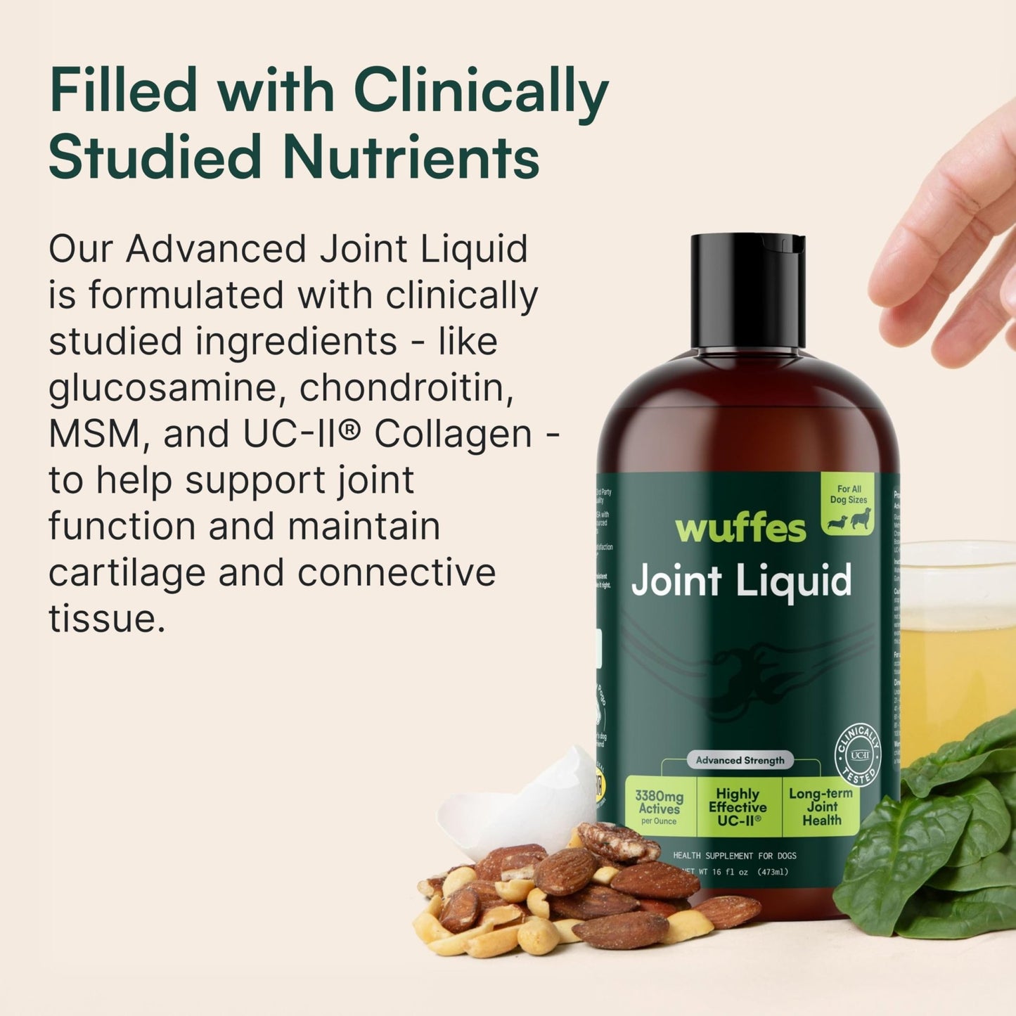 Wuffes Advanced Joint Liquid for Dogs, Hip & Joint Support Supplement with Glucosamine, Chondroitin, UC-II® Collagen, and MSM, for Small & Large Breeds, 16 Oz - dailyvitalstore