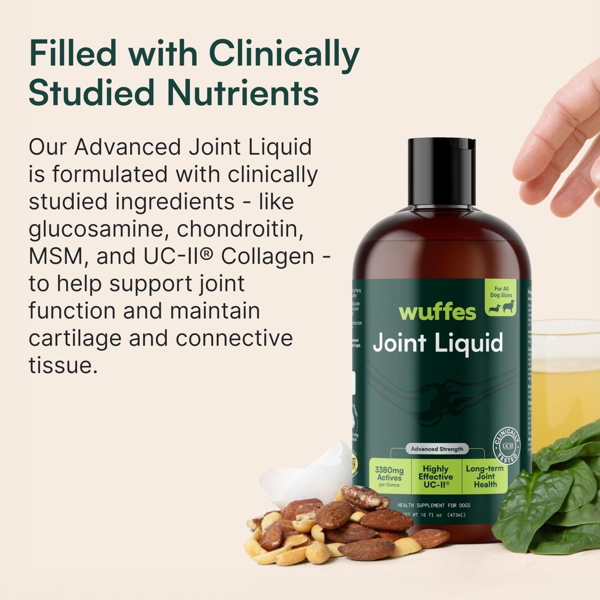 Wuffes Advanced Joint Liquid for Dogs, Hip & Joint Support Supplement with Glucosamine, Chondroitin, UC-II® Collagen, and MSM, for Small & Large Breeds, 16 Oz - dailyvitalstore