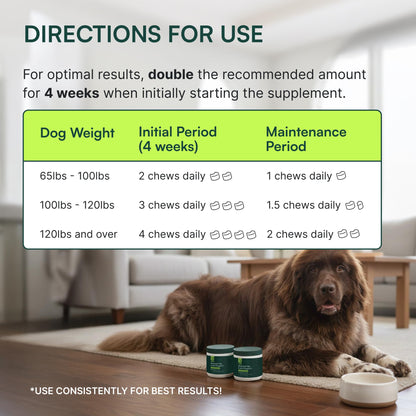 Wuffes Chewable Dog Hip & Joint Supplement - Glucosamine & Chondroitin Chews - Dog Joint Supplements & Vitamins - Extended Joint Care (Large Breed (Over 65 lbs), 60 Chews (Pack of 2)) - dailyvitalstore