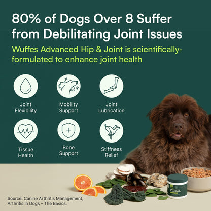 Wuffes Chewable Dog Hip & Joint Supplement - Glucosamine & Chondroitin Chews - Dog Joint Supplements & Vitamins - Extended Joint Care (Large Breed (Over 65 lbs), 60 Chews (Pack of 2)) - dailyvitalstore
