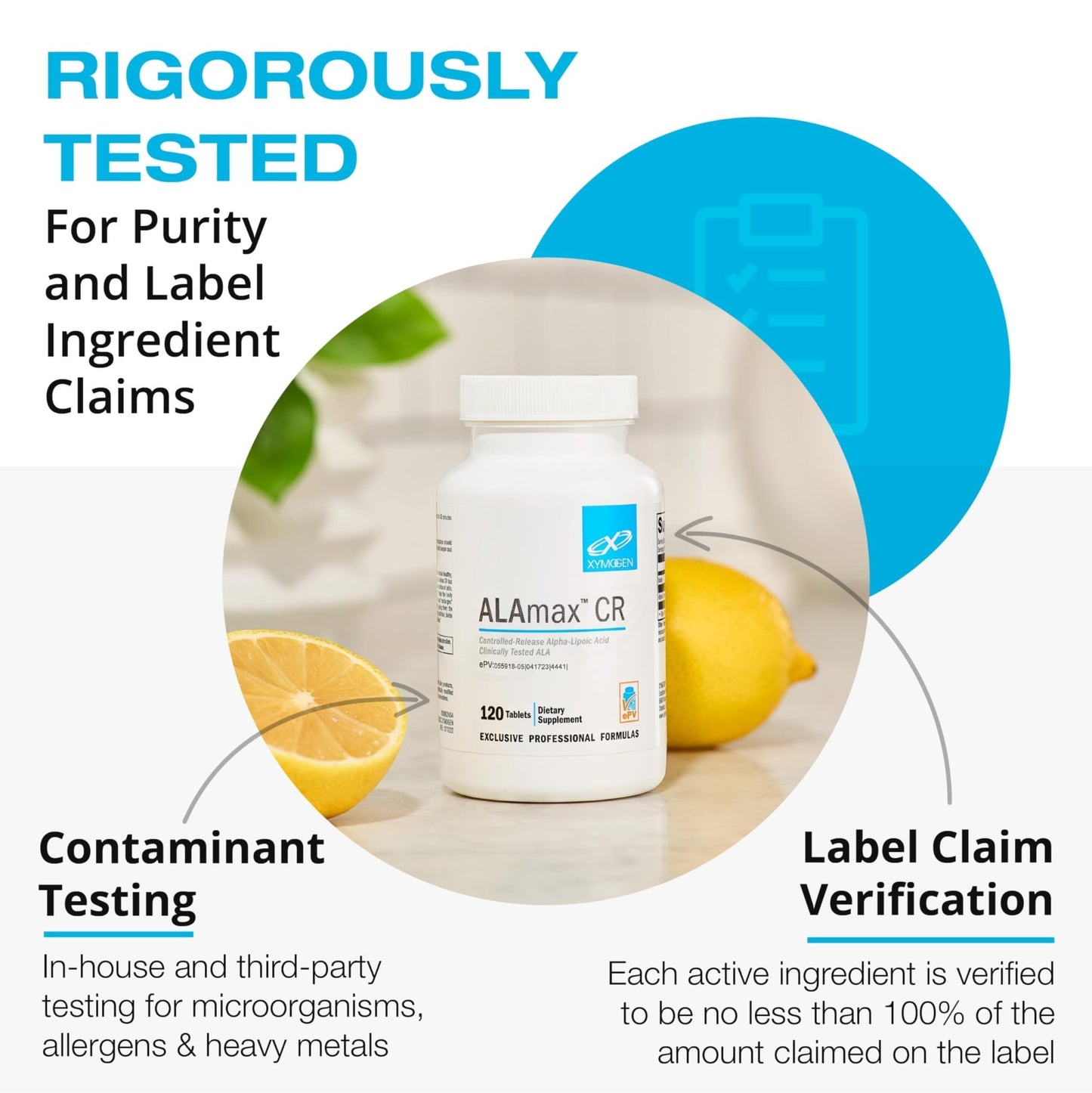 XYMOGEN Saloxicin - Antioxidant Support Supplement - Grape Seed Extract, Pomegranate Fruit & Cranberry Supplement - White Willow Bark & Boswellia Extract - 120 Capsules - dailyvitalstore