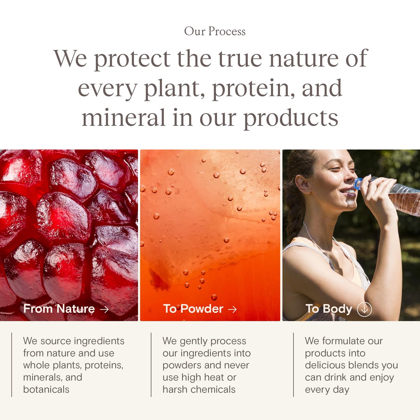 Yoli® Truth Antioxidant and Immune Support Supplement with Vitamin C, Botanicals, Superfruits, and Minerals - Pomegranate, 30 Packets - dailyvitalstore