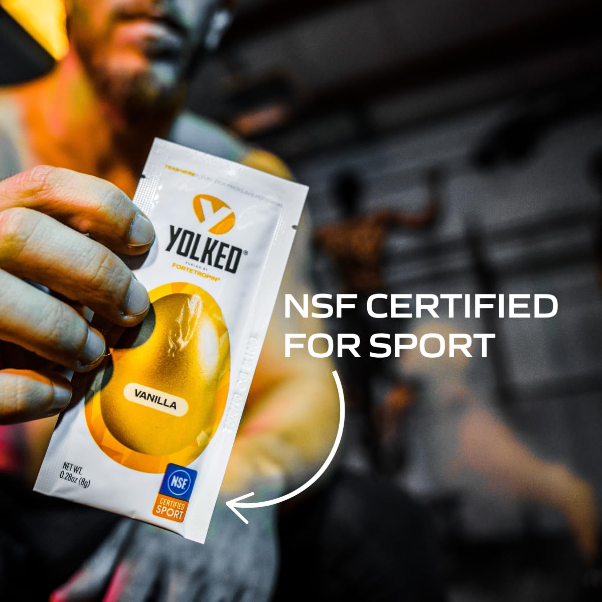 YOLKED - NSF-Certified Muscle Building Supplement - Help Increase Lean Muscle, Reduce Muscle Loss, and Improve Recovery with Fortetropin, 30 Servings - dailyvitalstore