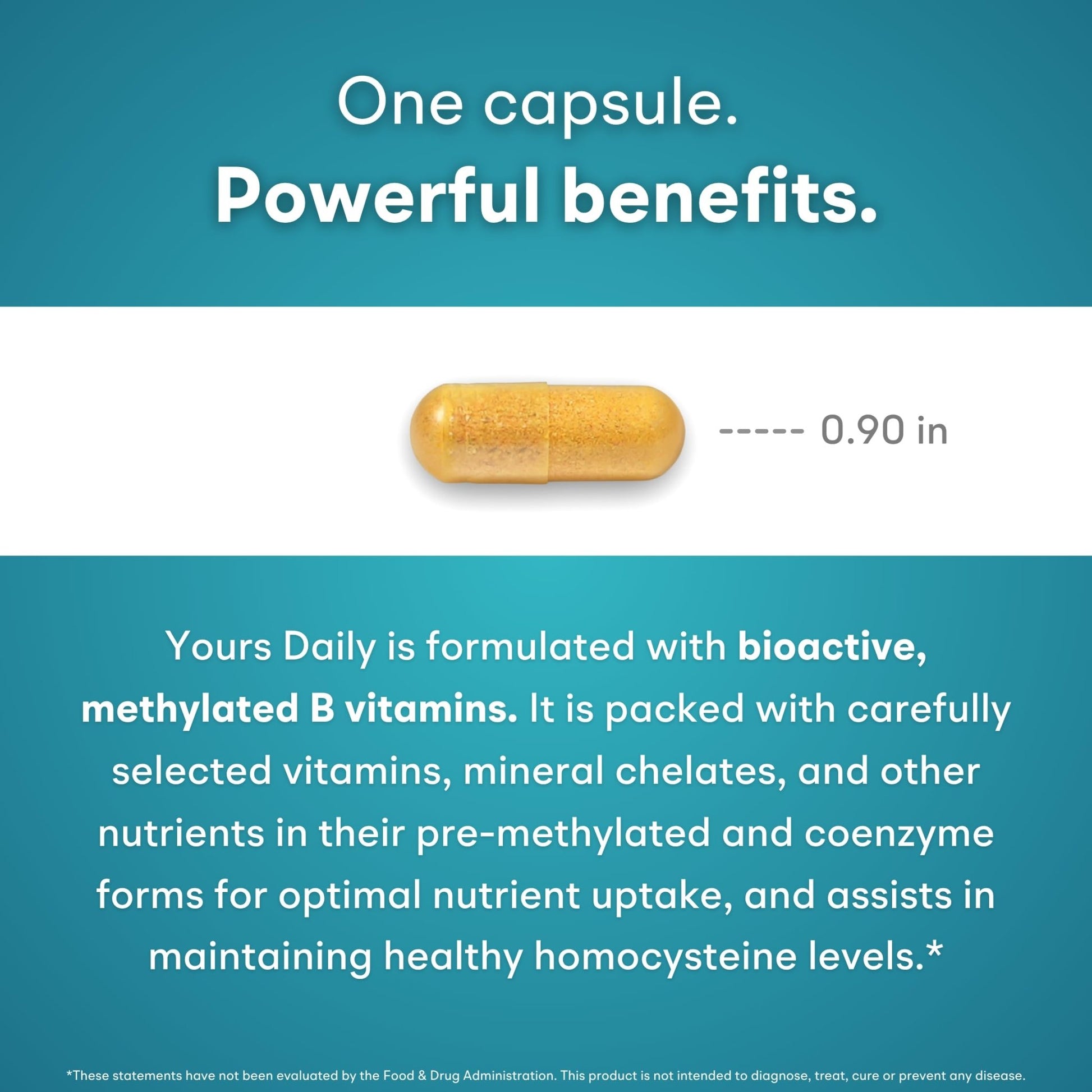 You Vites - Methylated Multivitamin for Men and Women, Methyl Multi Without Iron - 60 Capsules, MTHFR Supplement with Methyl B12, Methylfolate (5-MTHF), CoQ10 for Energy, Heart and Mood Support - dailyvitalstore