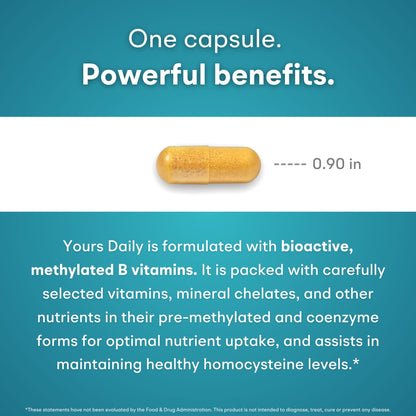 You Vites - Methylated Multivitamin for Men and Women, Methyl Multi Without Iron - 60 Capsules, MTHFR Supplement with Methyl B12, Methylfolate (5-MTHF), CoQ10 for Energy, Heart and Mood Support - dailyvitalstore