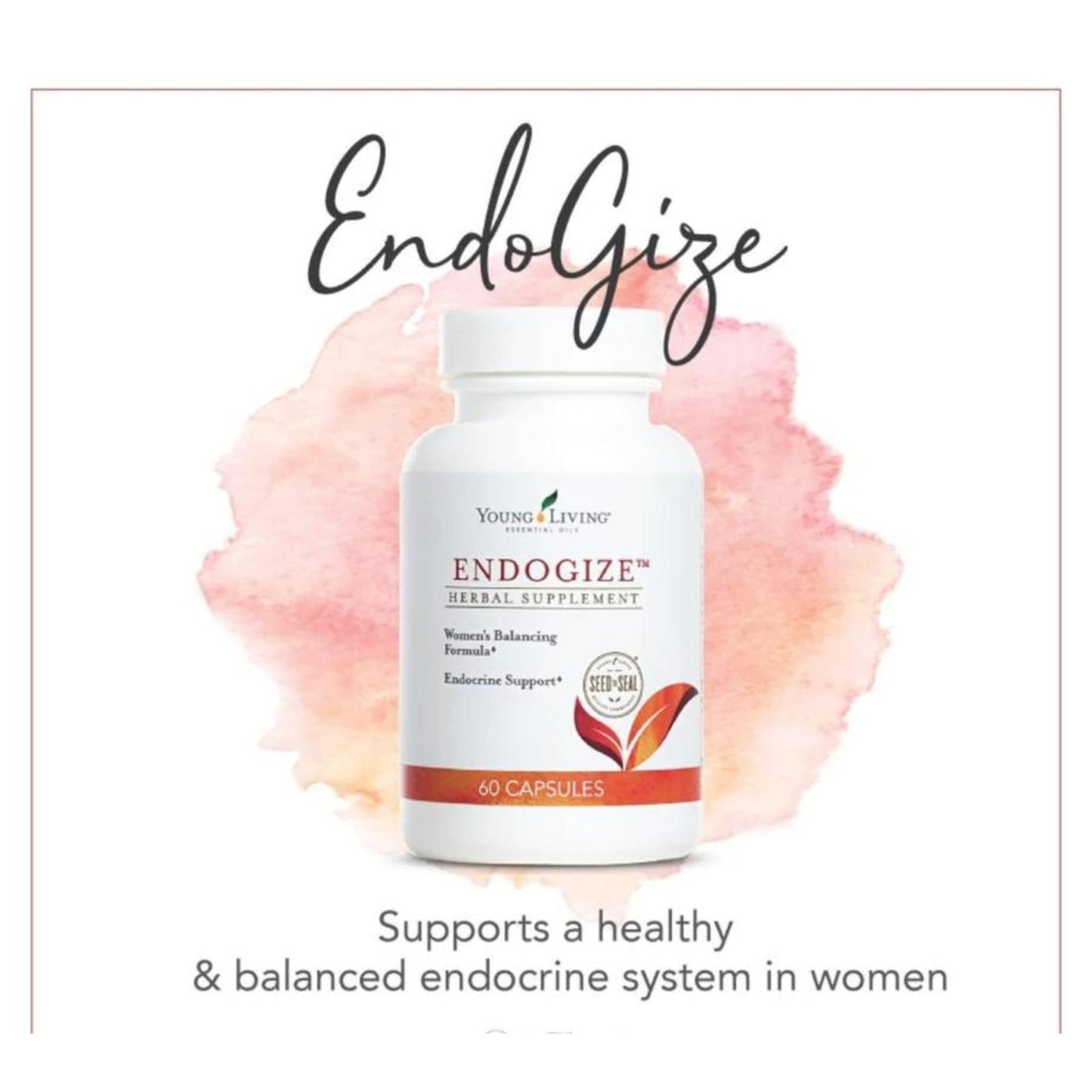 Young Living - EndoGize 60 Capsules | Hormonal Health & Endocrine System Support with Essential Oils | Daily Herbal Supplement for Women's Wellness & Balancing Formula - dailyvitalstore