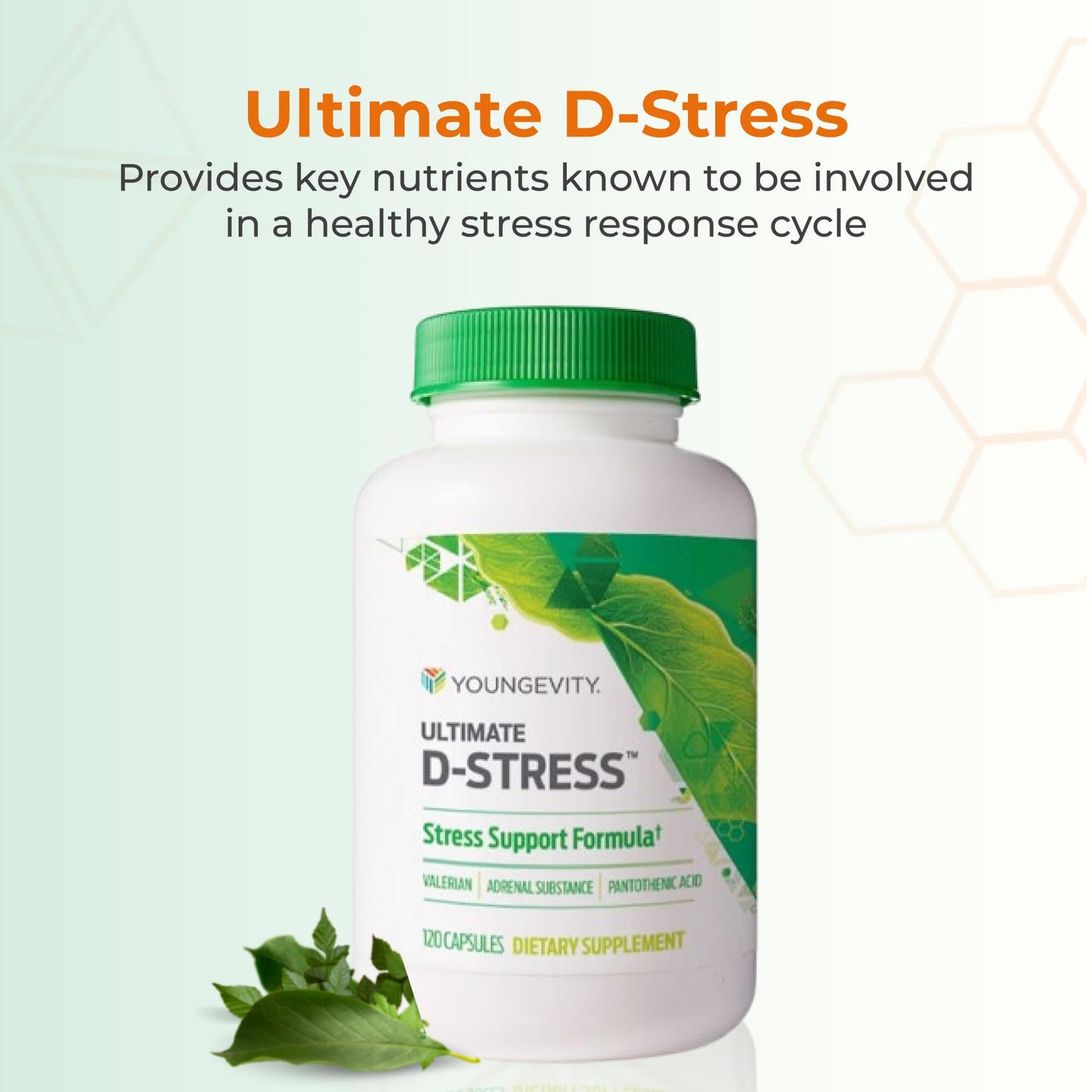Youngevity Ultimate D-Stress™ – Natural Stress Relief Supplement with Magnesium, Valerian Root Extract, and B Vitamins – Supports Adrenal Health and Nervous System – 120 Capsules - dailyvitalstore