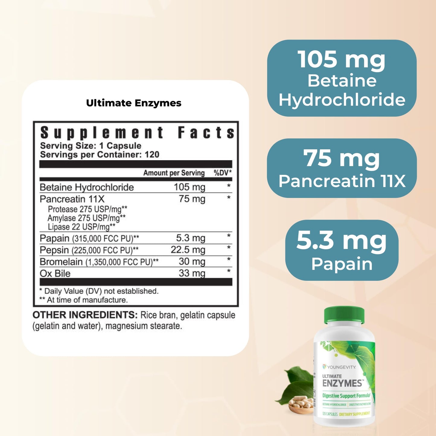 Youngevity Ultimate Enzymes® - Multi Enzymes for Digestion, Gas & Bloating Relief - Betaine HCl, Ox Bile, Pancreatine 10X, Papain 6M, Pepsin 1:3000 (120 Capsules) - dailyvitalstore