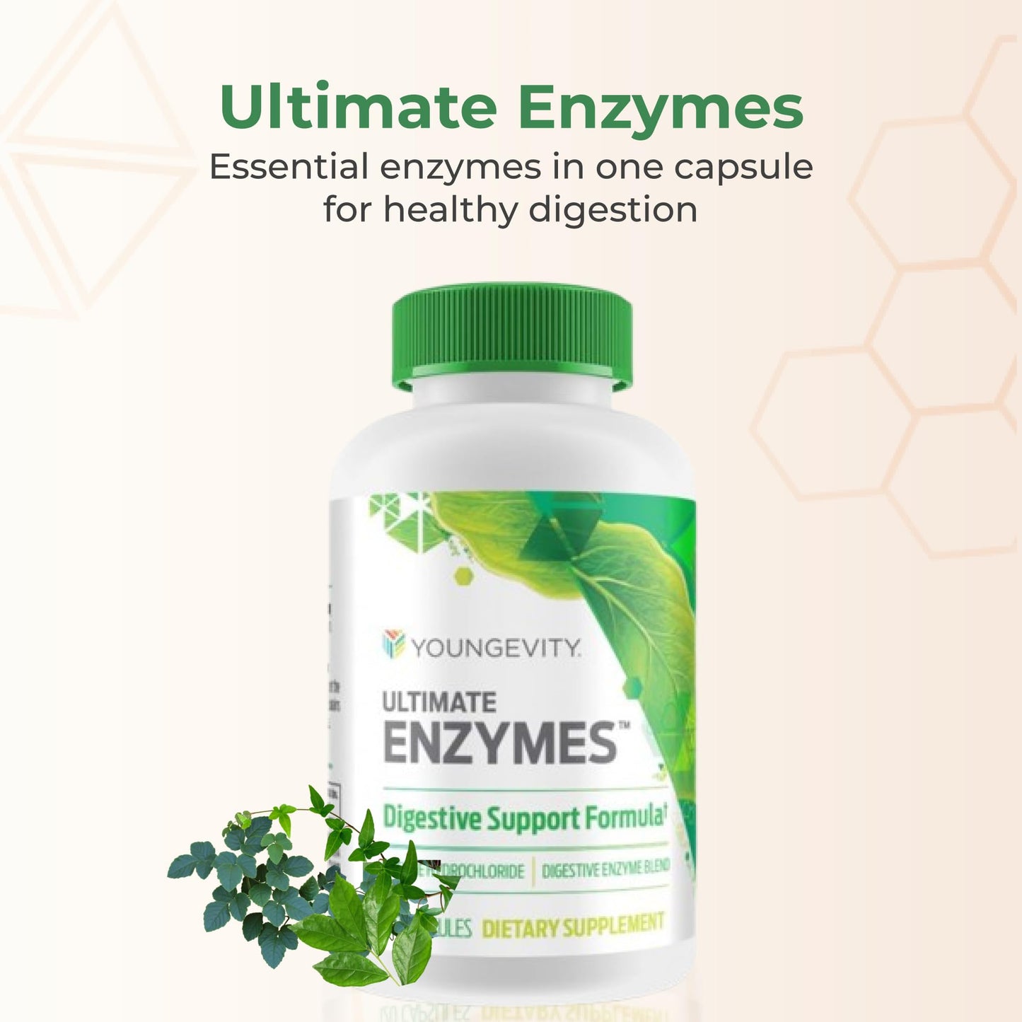 Youngevity Ultimate Enzymes® - Multi Enzymes for Digestion, Gas & Bloating Relief - Betaine HCl, Ox Bile, Pancreatine 10X, Papain 6M, Pepsin 1:3000 (120 Capsules) - dailyvitalstore