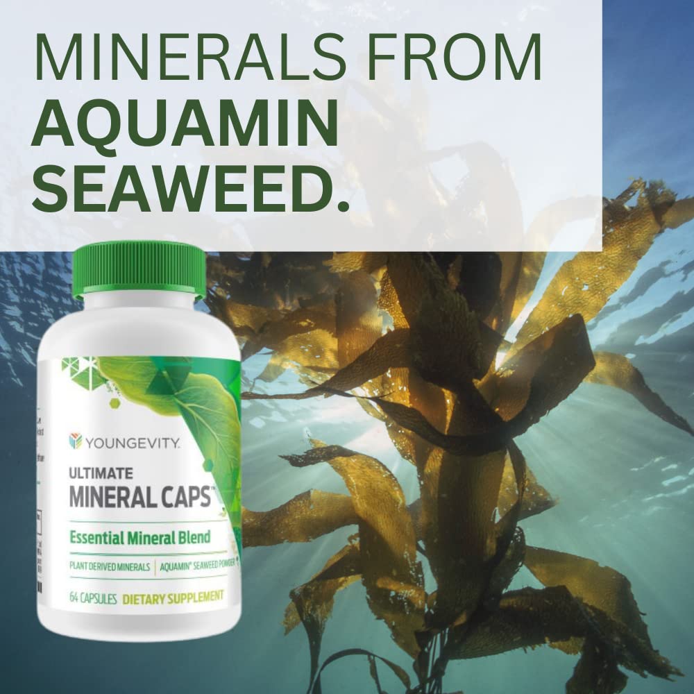 Youngevity Ultimate Mineral Caps™ - 70+ Essential Full Spectrum Trace Minerals - Nutrient-Dense, Derived from Humic & Aquamin Seaweed (64 Capsule) - dailyvitalstore