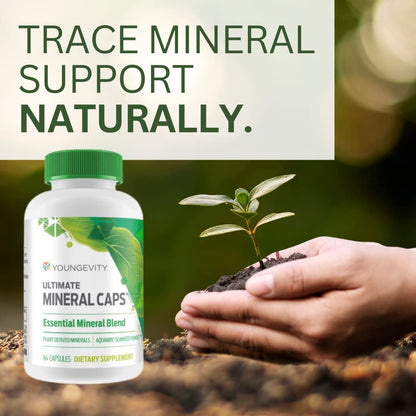 Youngevity Ultimate Mineral Caps™ - 70+ Essential Full Spectrum Trace Minerals - Nutrient-Dense, Derived from Humic & Aquamin Seaweed (64 Capsule) - dailyvitalstore