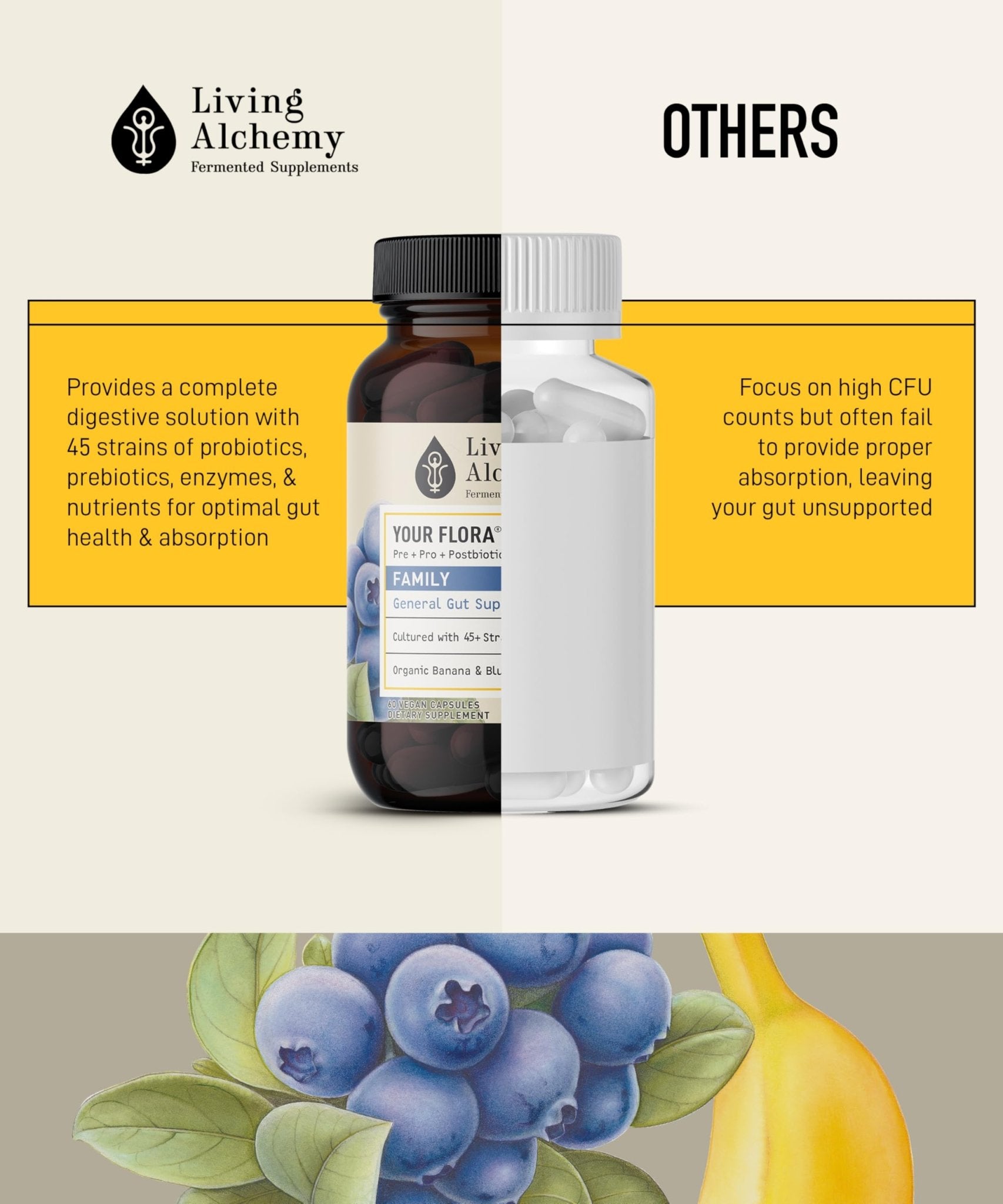Your Flora Probiotic Family – Non-GMO Probiotics with Fermented Soybean, Banana, & Blueberry for Digestion & Gut Support – Prebiotics, Postbiotics, Digestive Enzymes – Living Alchemy, 60 Capsules - dailyvitalstore
