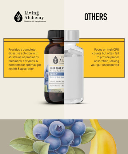 Your Flora Probiotic Family – Non-GMO Probiotics with Fermented Soybean, Banana, & Blueberry for Digestion & Gut Support – Prebiotics, Postbiotics, Digestive Enzymes – Living Alchemy, 60 Capsules - dailyvitalstore
