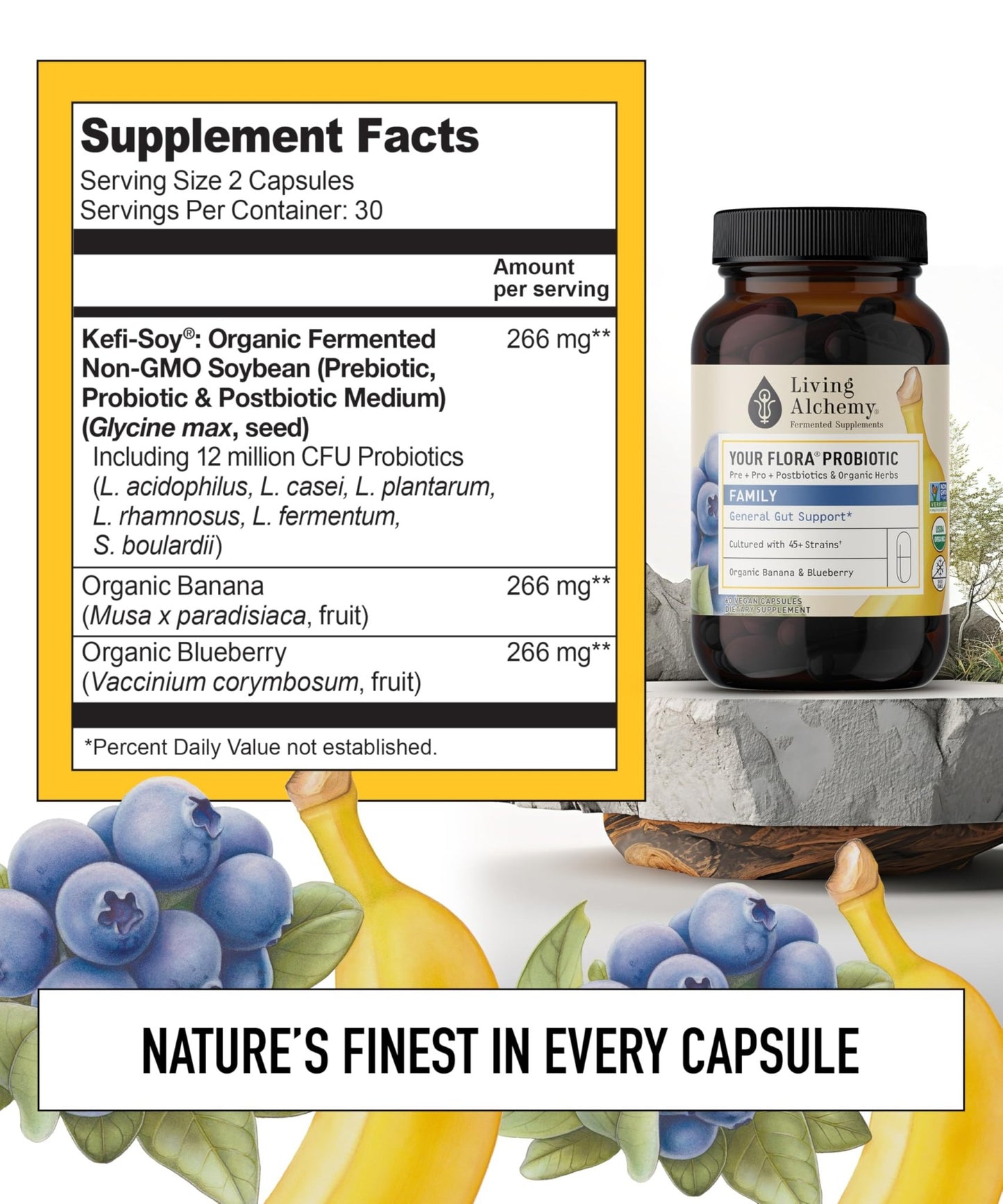 Your Flora Probiotic Family – Non-GMO Probiotics with Fermented Soybean, Banana, & Blueberry for Digestion & Gut Support – Prebiotics, Postbiotics, Digestive Enzymes – Living Alchemy, 60 Capsules - dailyvitalstore