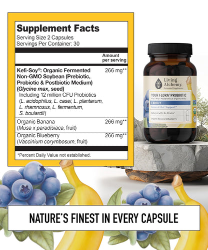 Your Flora Probiotic Family – Non-GMO Probiotics with Fermented Soybean, Banana, & Blueberry for Digestion & Gut Support – Prebiotics, Postbiotics, Digestive Enzymes – Living Alchemy, 60 Capsules - dailyvitalstore