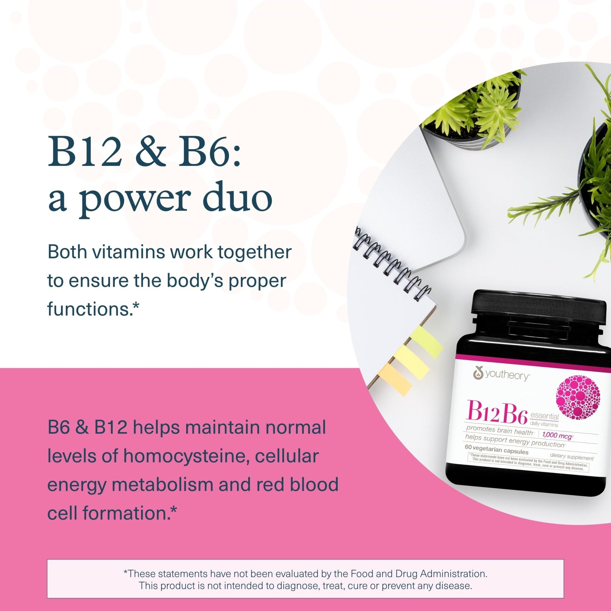 Youtheory B12B6 - Vitamin B12 & B6 - Supports Mood, Nervous System & Metabolism* - Aids Memory & Stress Management* - dailyvitalstore