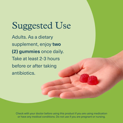Youtheory Spore Probiotic Zero Sugar Gummy 90ct - dailyvitalstore