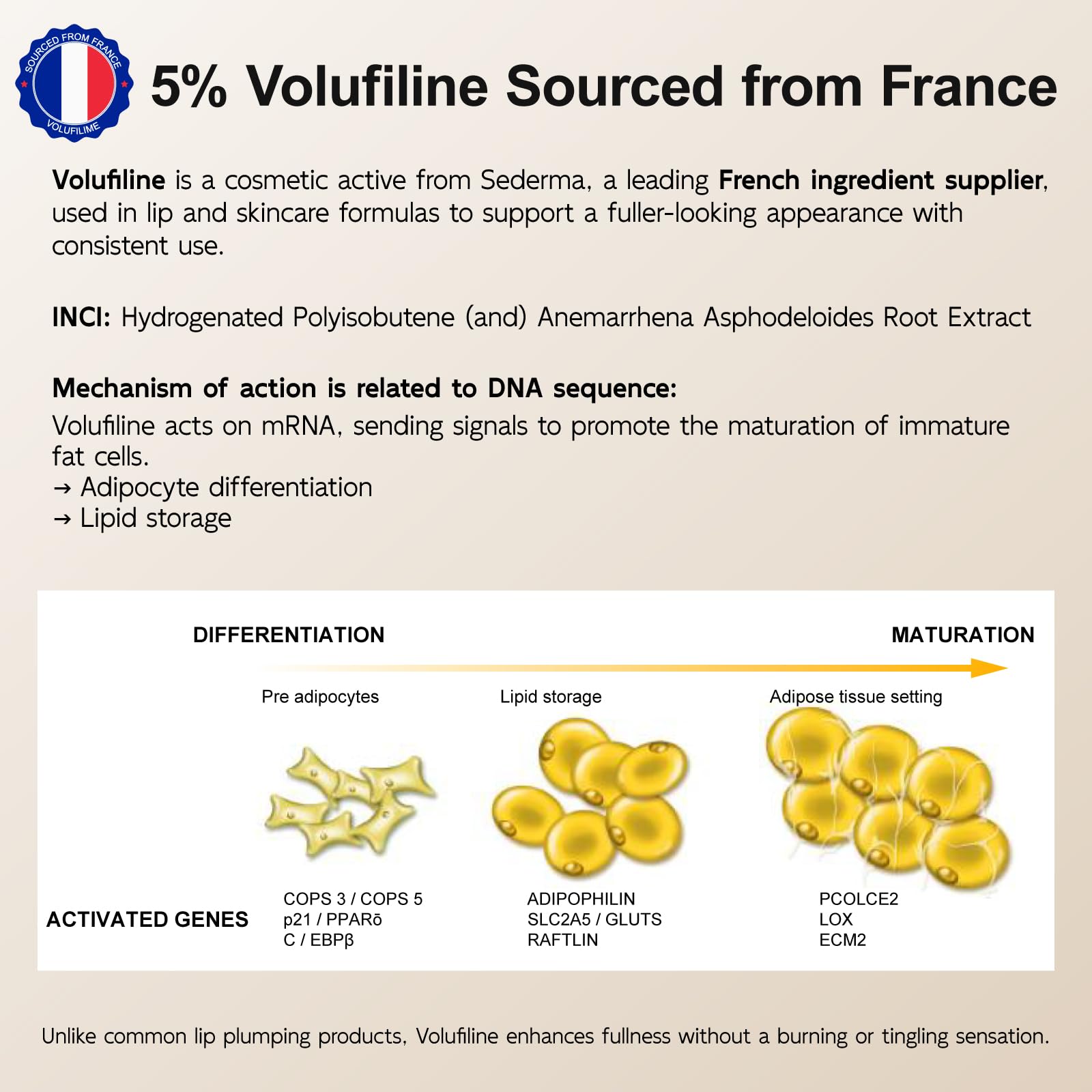 YouthVibe 5% Volufiline Lip Plumper, Nourishing & Anti Aging Over Time with Squalane, Shea Butter, Collagen, Peptide & PDRN - No Burning, No Tingling for Gentle Daily Plumping - dailyvitalstore