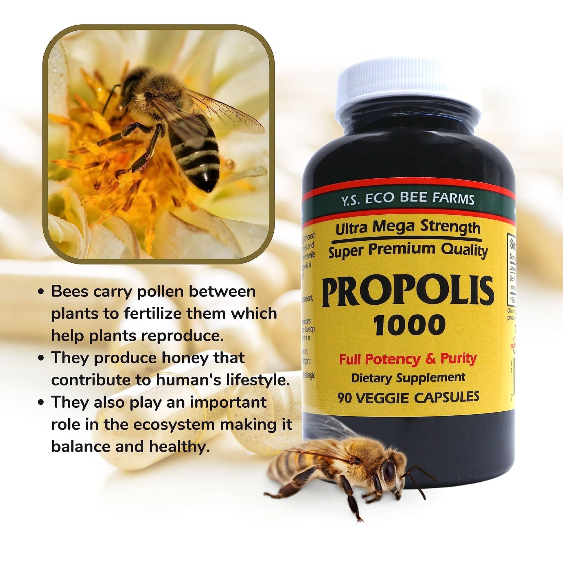Y.S. Organic Bee Farms Propolis-Raw Unprocessed 1000mg - Your Gateway to Wellness - 90 Capsules with Bonus worldwidenutrition Multi Purpose Key Chain - dailyvitalstore