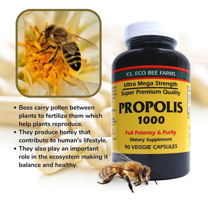 Y.S. Organic Bee Farms Propolis-Raw Unprocessed 1000mg - Your Gateway to Wellness - 90 Capsules with Bonus worldwidenutrition Multi Purpose Key Chain - dailyvitalstore