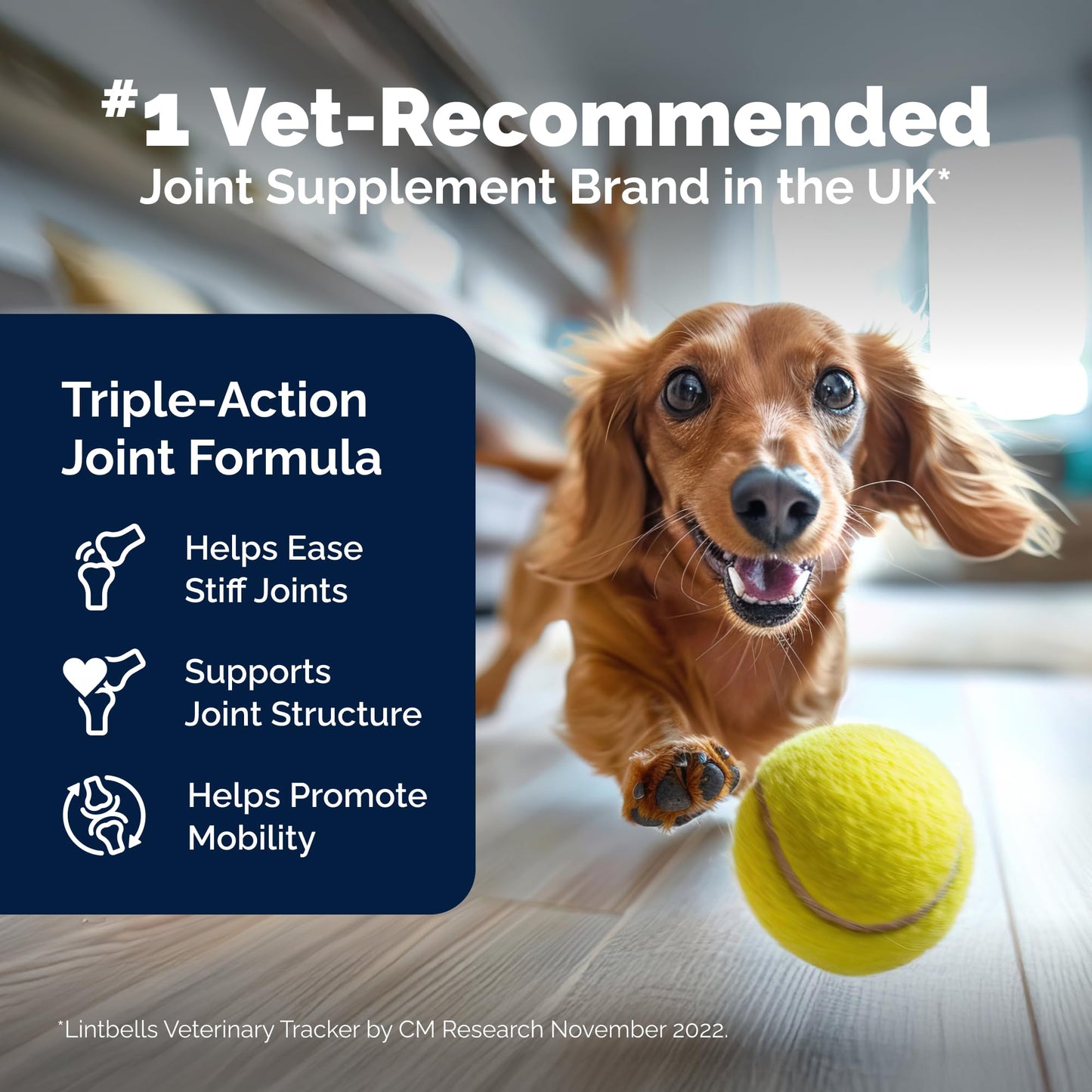 Yumove Hip & Joint Supplement for Dogs with Glucosamine, Hyaluronic Acid, Green Lipped Mussel & Omega 3 Joint Supplement - Regular or Advanced Strength (90 Count, Advanced Vet Strength Soft Chews) - dailyvitalstore
