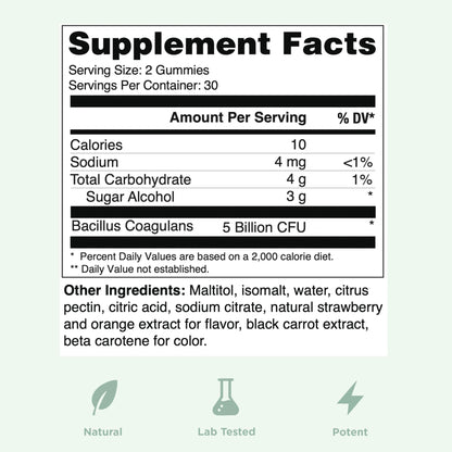 Yuve Natural Sugar Free Probiotic Gummies 5 Billion CFU, Helps with Constipation, Bloating & Leaky Gut - Vegan, Gluten-Free & Non-GMO - 60ct - dailyvitalstore