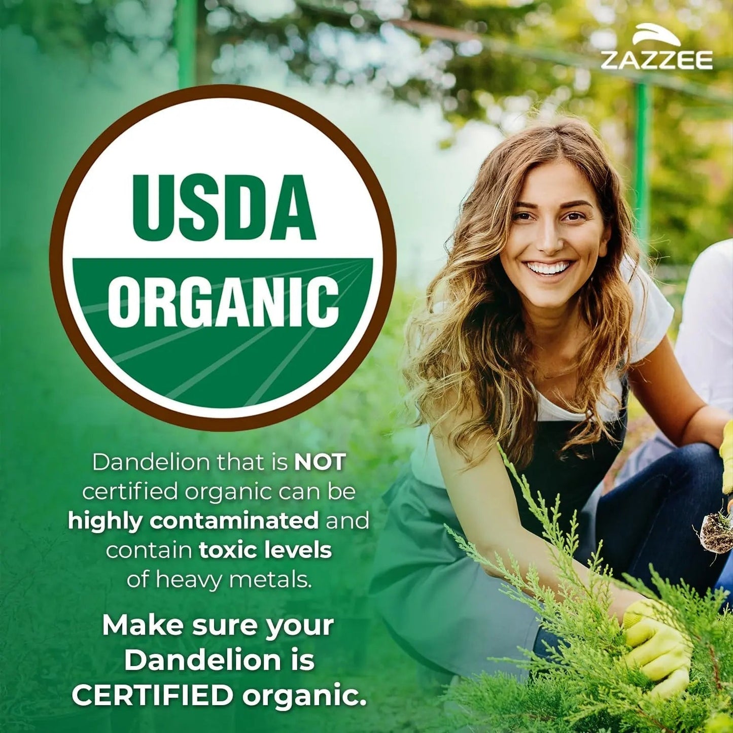 Zazzee Urinary Tract Cleanse & Detox Bundle | USDA Organic Dandelion Root Extract Capsules Plus D-Mannose 1000mg Capsules for UT & Bladder Cleansing - dailyvitalstore