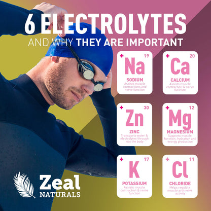 Zeal Electrolyte Powder - 90 Servings | Keto Electrolytes Powder | Zero Sugar, BCAAs, B-Vitamins | Potassium, Zinc, Magnesium - dailyvitalstore