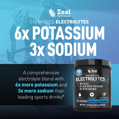 Zeal Electrolyte Powder - 90 Servings | Keto Electrolytes Powder | Zero Sugar, BCAAs, B-Vitamins | Potassium, Zinc, Magnesium - dailyvitalstore