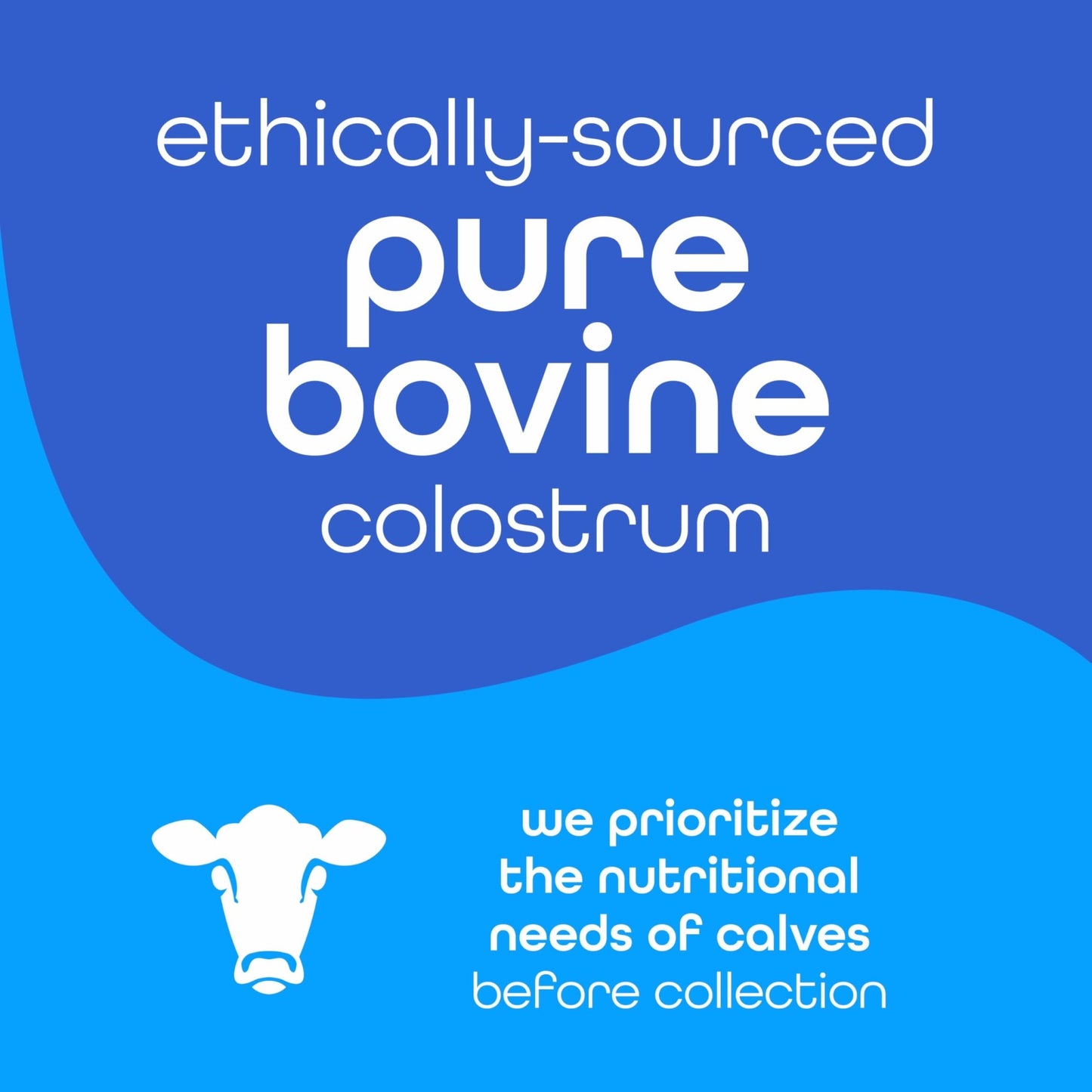 Zena Nutrition Bovine Colostrum Powder Supplement, 2000mg Pure Colostrum, Supports Immune and Digestive Health, Promotes Gut Health, Keto, Gluten Free - dailyvitalstore