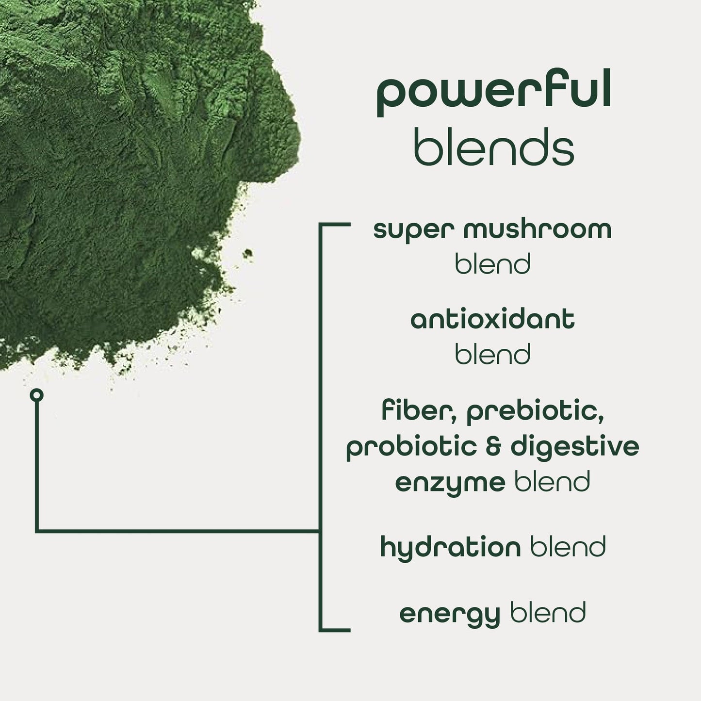 Zena Nutrition Organic Super Greens Energy & Hydration Powder, 70+ Superfoods, 0 Sugar, 5G Fiber, Spirulina, Chlorella, Prebiotics/Probiotics, Natural Caffeine + Electrolytes, 40 Drink Mix Packets - dailyvitalstore