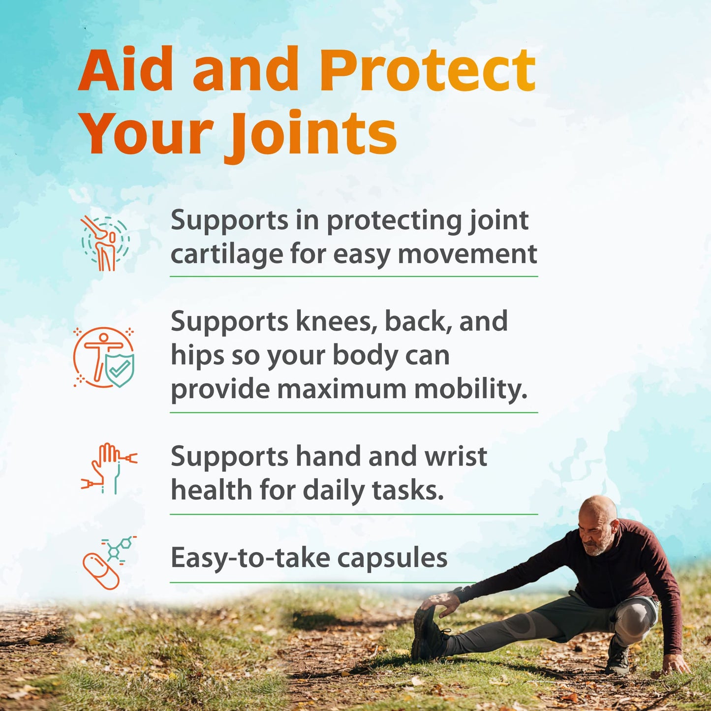 Zenith Labs Joint N-11 Joint Health Supplement - dailyvitalstore