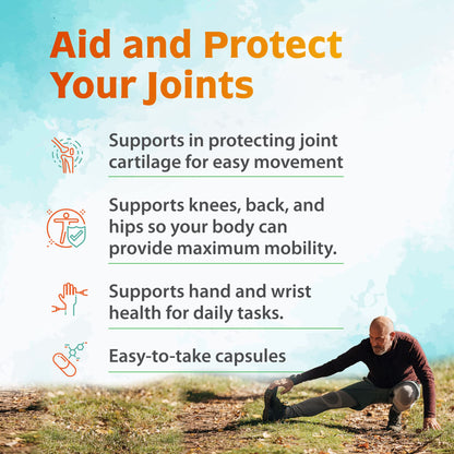 Zenith Labs Joint N-11 Joint Health Supplement - dailyvitalstore