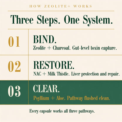 Zeolite Binder Detox – 8-in-1 Clinoptilolite Microplastics & Full Body Detox Cleanse with Activated Charcoal, NAC & Milk Thistle – Liver Cleanse & Repair - dailyvitalstore