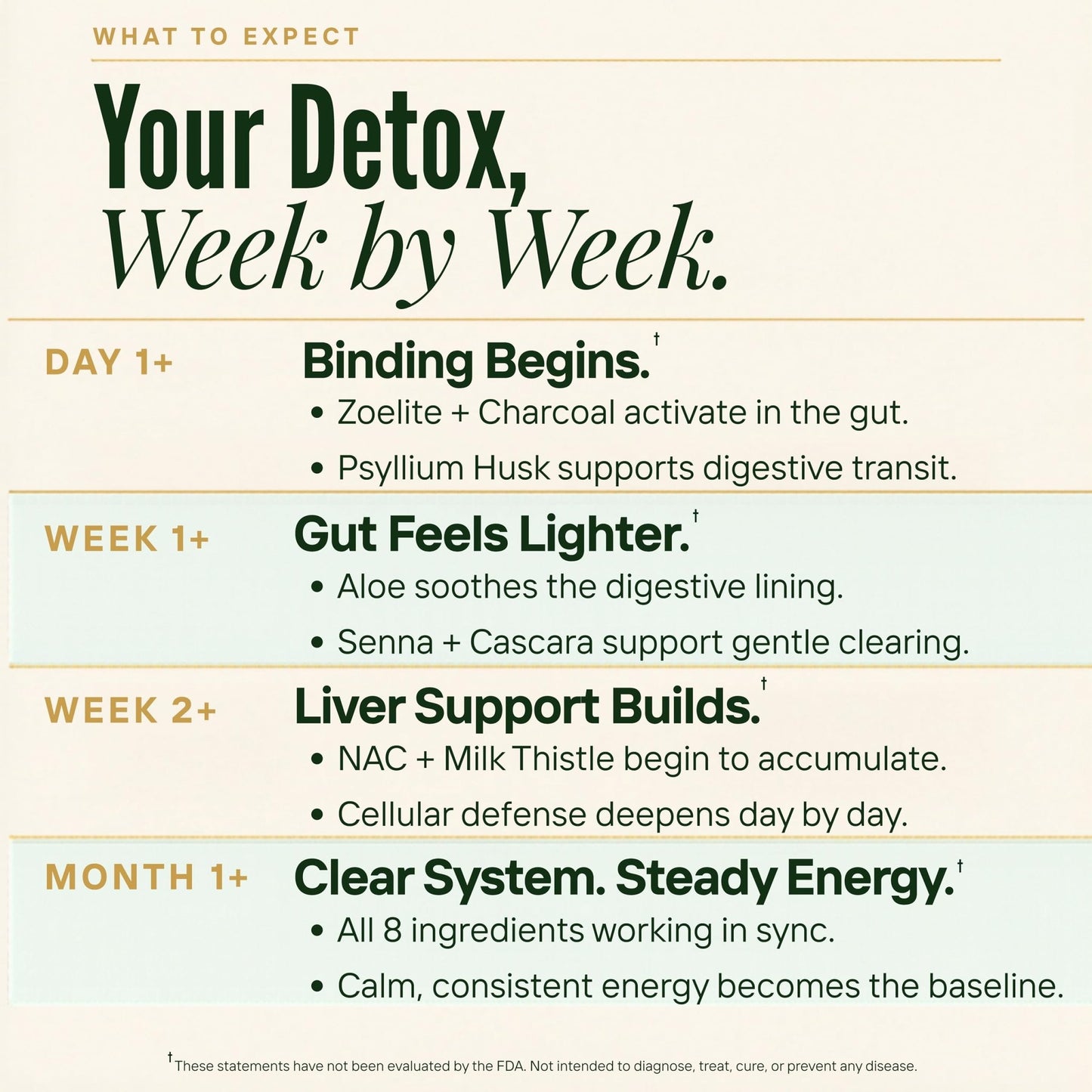 Zeolite Binder Detox – 8-in-1 Clinoptilolite Microplastics & Full Body Detox Cleanse with Activated Charcoal, NAC & Milk Thistle – Liver Cleanse & Repair - dailyvitalstore