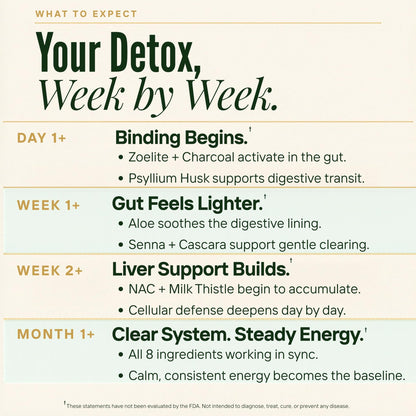 Zeolite Binder Detox – 8-in-1 Clinoptilolite Microplastics & Full Body Detox Cleanse with Activated Charcoal, NAC & Milk Thistle – Liver Cleanse & Repair - dailyvitalstore