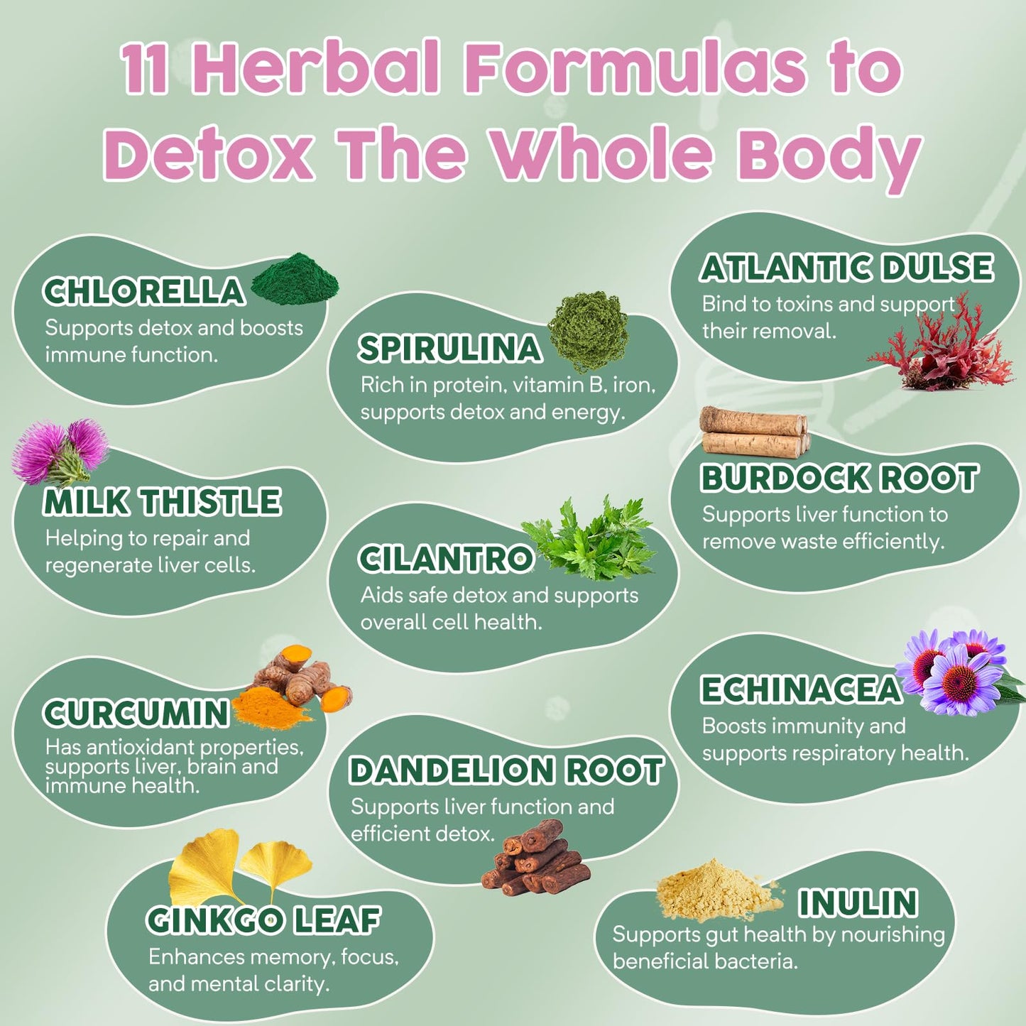 Zeolite Detox for Kids and Adults, Herbal Detox with 800mg DHA, 500mg Inulin, Probiotics & Vitamin B12, D3, C, B6, Cilantro Extract Cleanse to Support Brain, - dailyvitalstore