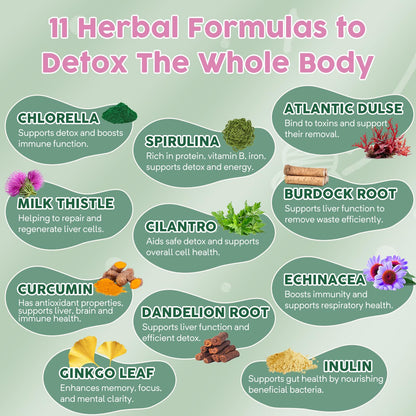 Zeolite Detox for Kids and Adults, Herbal Detox with 800mg DHA, 500mg Inulin, Probiotics & Vitamin B12, D3, C, B6, Cilantro Extract Cleanse to Support Brain, - dailyvitalstore