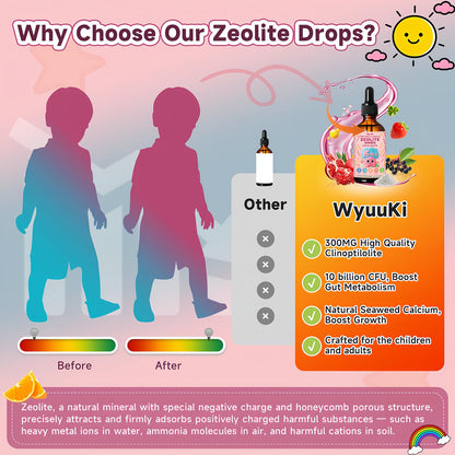 Zeolite Drops 2 Pack Detox for Kids & Adults - 300mg Clinoptilolite, 1000mcg Vitamin B12 C D3, 10 Billion CFU Prebiotics, Seaweed Calcium - Pure Body Cleanse - dailyvitalstore
