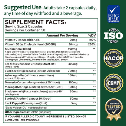 Zhibenon Sea Moss Capsules with Bladderwrack & Burdock - 50 Day Supply - Powerful Formula with Black Seed Oil, Ashwagandha, Turmeric, Vitamin C, Vitamin D3, Moringa & Black Pepper Extract - dailyvitalstore