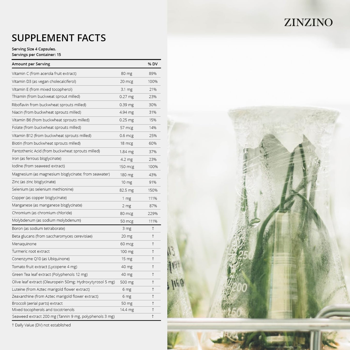 Zinzino Xtend + - Multi Immune Supplement - Essential Vitamins, Minerals & Vitamin C for Immune Support, Energy & Focus - 60 Capsules - dailyvitalstore