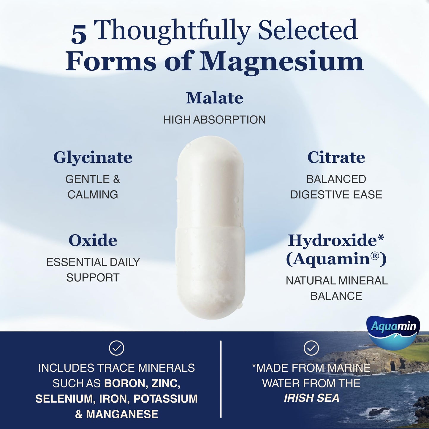 ZnS Health Spectrum 5 Magnesium Complex for Women & Men – 5 Magnesium Complex Supplement with Glycinate, Malate, Citrate & Hydroxide for Sleep, Muscle Recovery & Calm – 500mg Vegan – 60 Capsules - dailyvitalstore