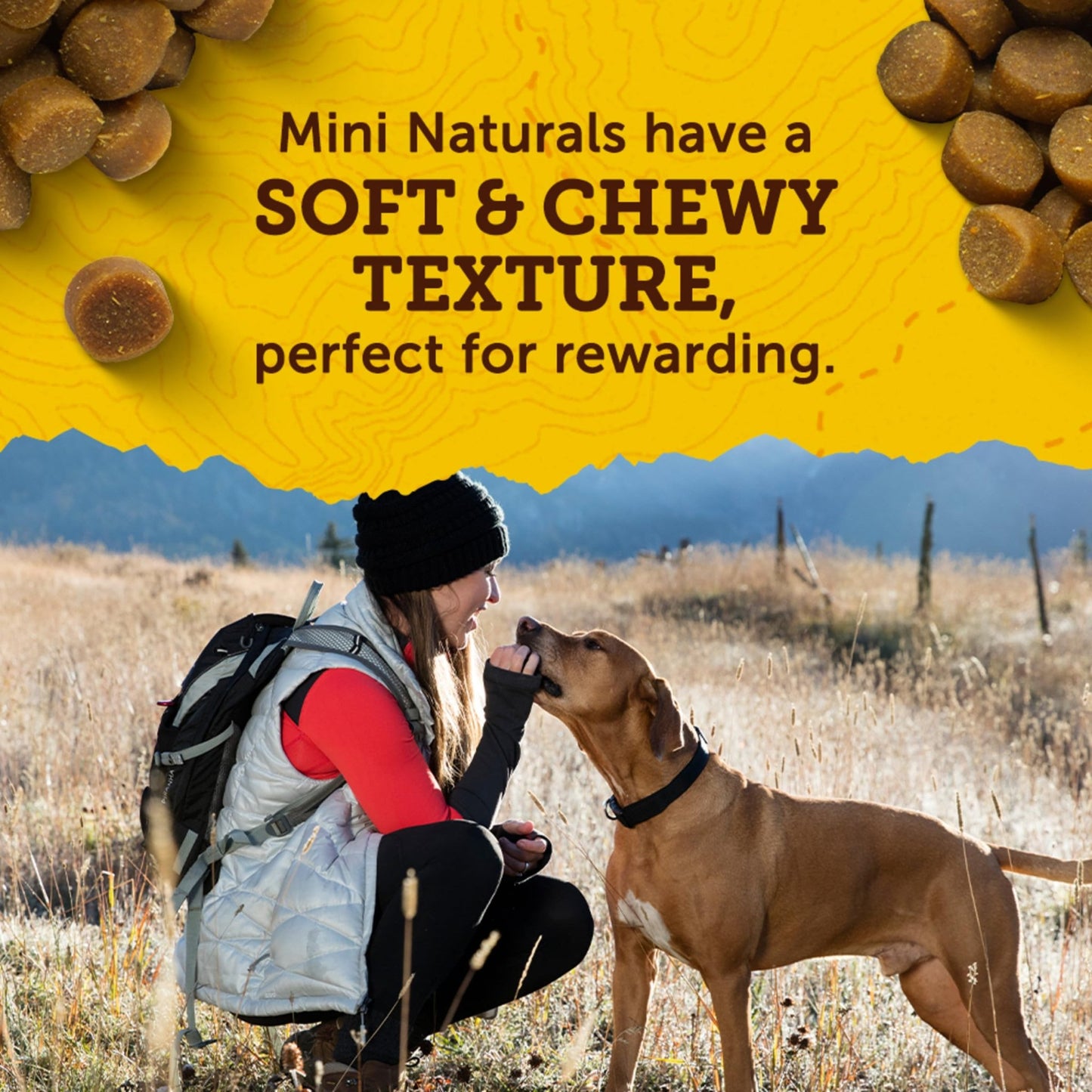 Zuke`s Mini Naturals Dog Treat Peanut Butter 1lb - dailyvitalstore