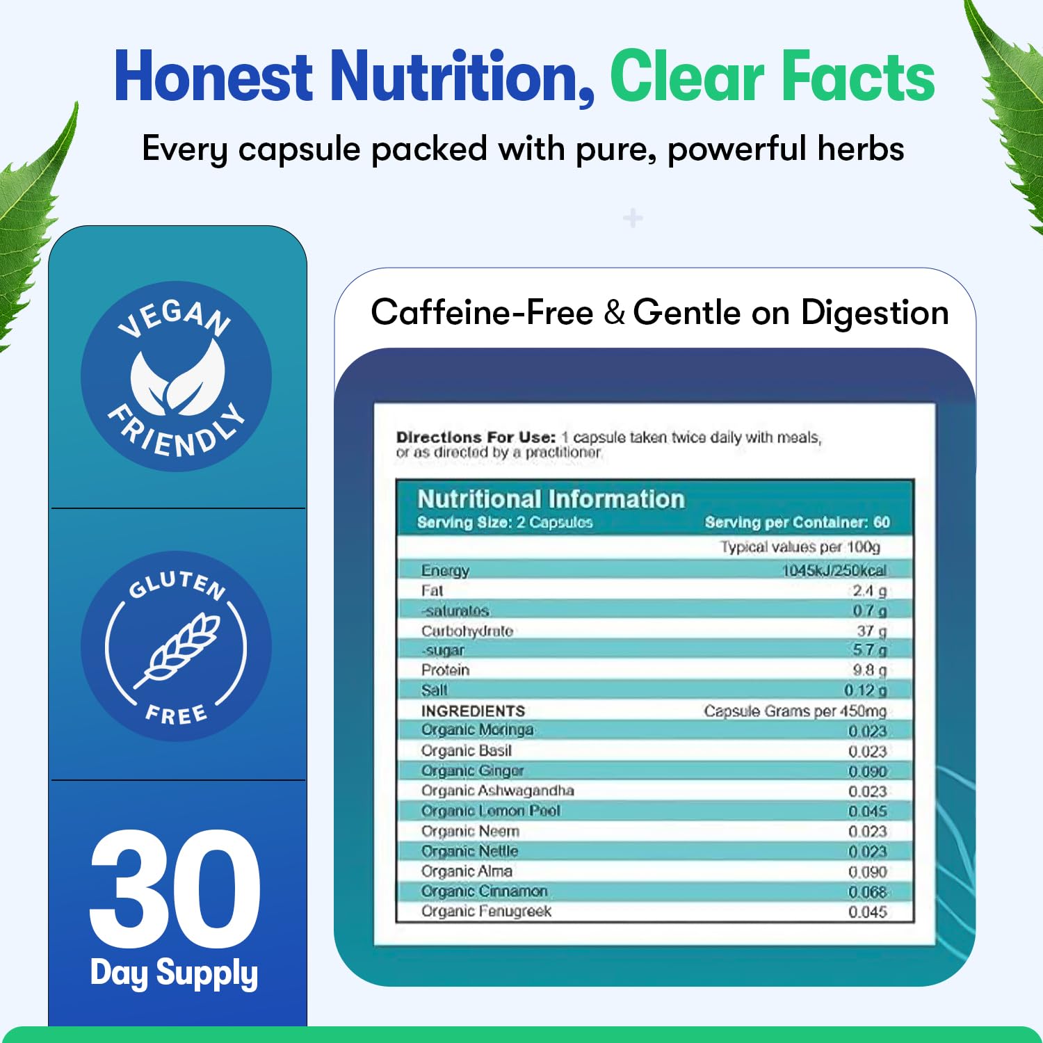 Zyzven Naturals Blood Sugar Support Supplement – 60 Vegan Capsules | Herbal Supplement with Moringa, Cinnamon, Ginger, Neem & Fenugreek | Plant-Based Wellness Supplement - Serving: 2 Capsules/Day - dailyvitalstore